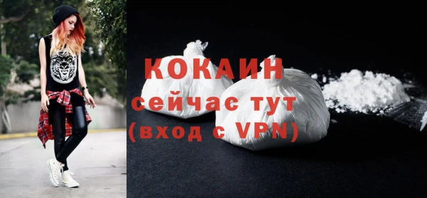 крисы Абаза