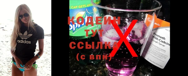 крисы Абаза