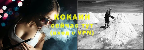 крисы Абаза