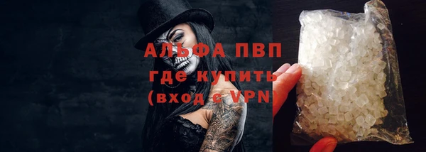 крисы Абаза