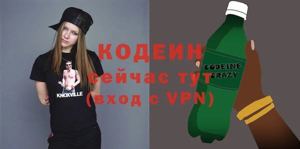 крисы Абаза