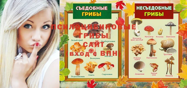 крисы Абаза