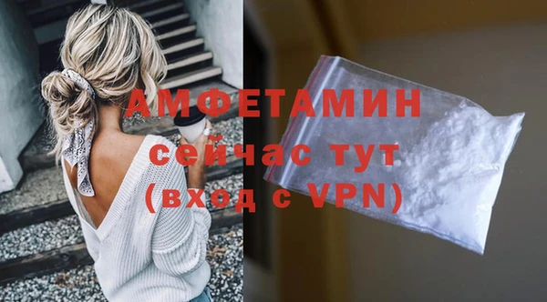 крисы Абаза