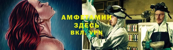 крисы Абаза