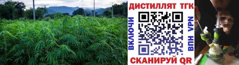 Дистиллят ТГК концентрат  MEGA ONION  Истра 